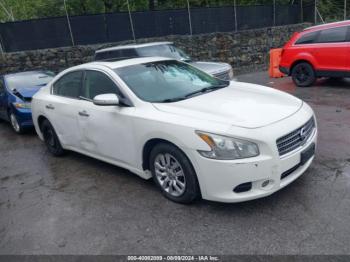  Salvage Nissan Maxima