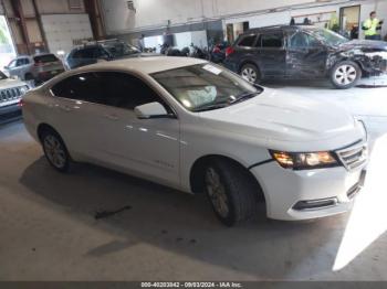  Salvage Chevrolet Impala