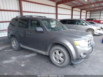  Salvage Ford Escape