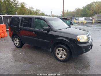  Salvage Honda Pilot