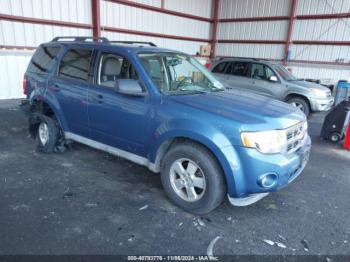  Salvage Ford Escape