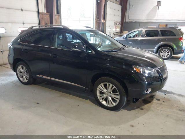  Salvage Lexus RX