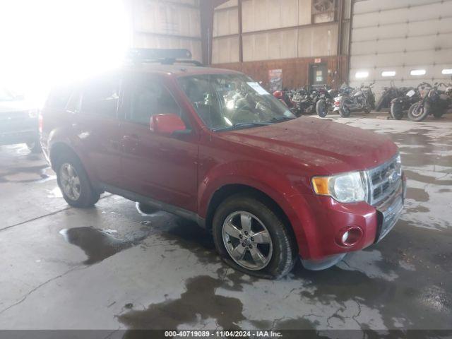  Salvage Ford Escape