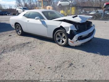  Salvage Dodge Challenger