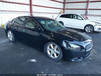  Salvage Nissan Maxima