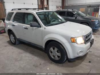  Salvage Ford Escape