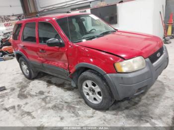  Salvage Ford Escape