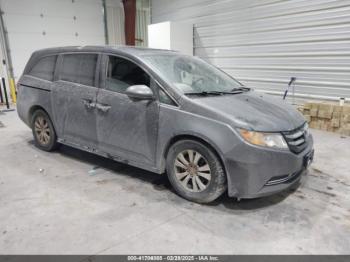  Salvage Honda Odyssey