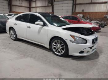  Salvage Nissan Maxima