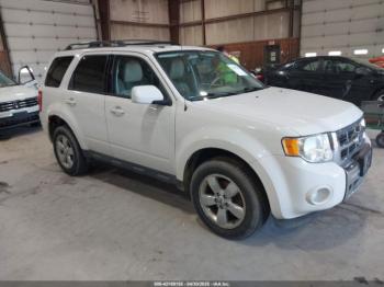  Salvage Ford Escape