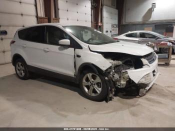  Salvage Ford Escape