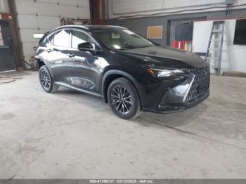  Salvage Lexus NX