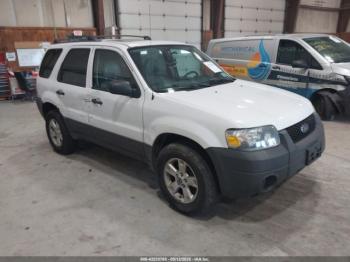  Salvage Ford Escape