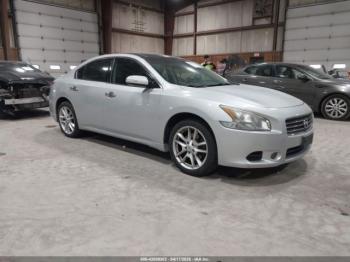  Salvage Nissan Maxima
