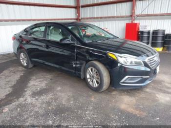  Salvage Hyundai SONATA