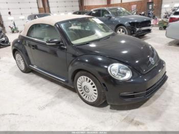  Salvage Volkswagen Beetle