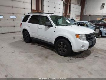  Salvage Ford Escape