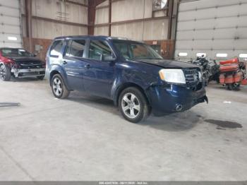  Salvage Honda Pilot
