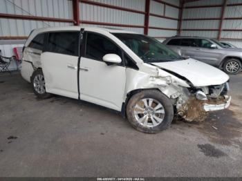  Salvage Honda Odyssey