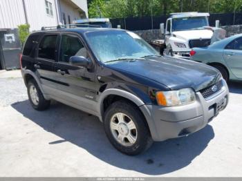  Salvage Ford Escape