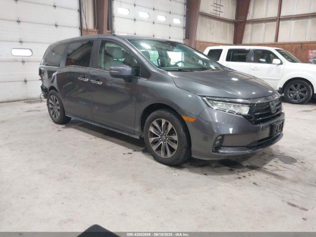  Salvage Honda Odyssey