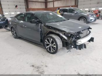  Salvage Nissan Maxima