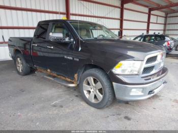  Salvage Dodge Ram 1500