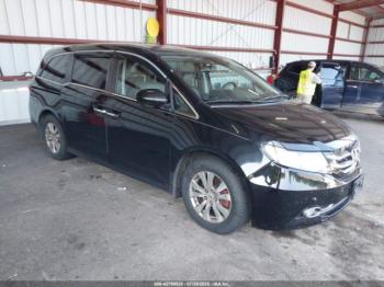  Salvage Honda Odyssey
