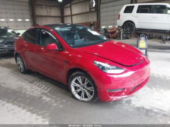  Salvage Tesla Model Y