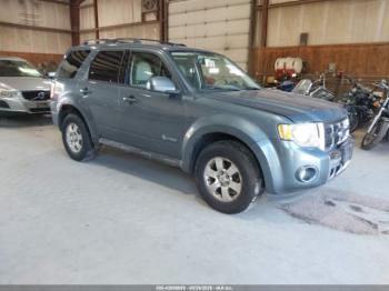  Salvage Ford Escape