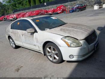  Salvage Nissan Maxima