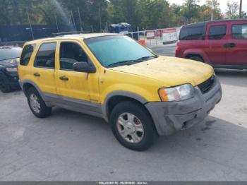  Salvage Ford Escape