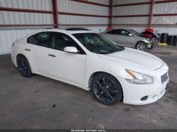  Salvage Nissan Maxima