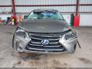 Lexus NX Image 10
