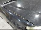 Honda Civic Ex Image 8