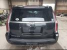 Cadillac Escalade Standard Image 12