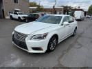 Lexus LS Image 3