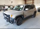 Jeep Renegade 75th Anniversary Image 5