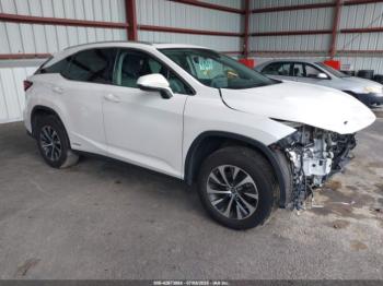  Salvage Lexus RX