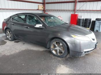  Salvage Acura TL