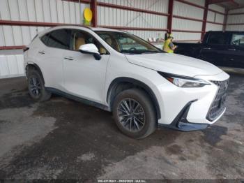  Salvage Lexus NX