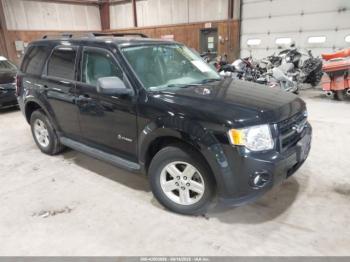  Salvage Ford Escape