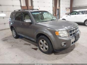  Salvage Ford Escape