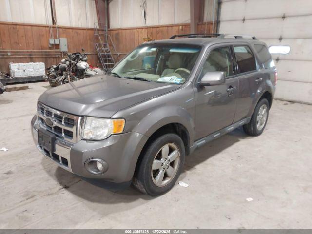 Ford Escape Limited Image 6