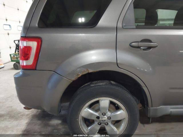 Ford Escape Limited Image 5