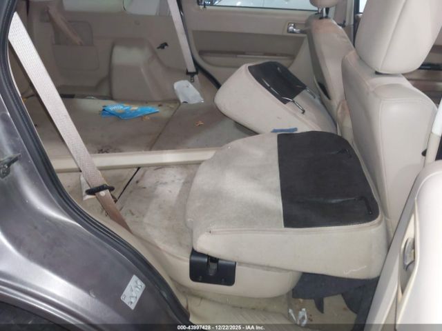 Ford Escape Limited Image 10