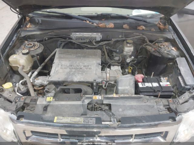 Ford Escape Limited Image 7