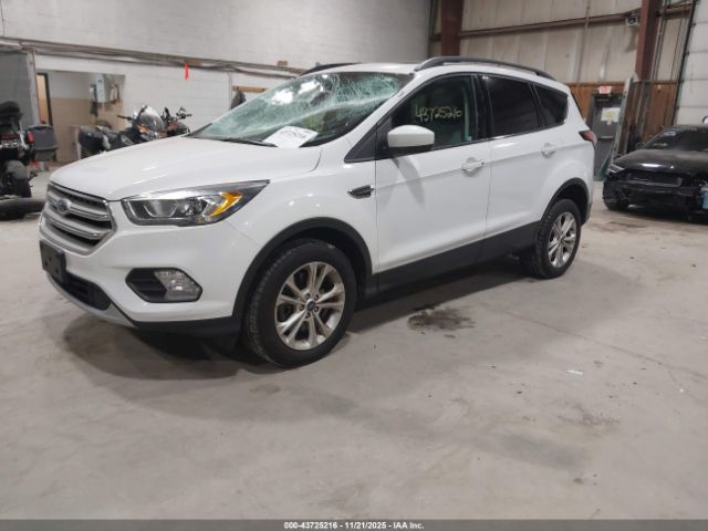 Ford Escape Sel Image 8