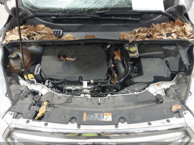 Ford Escape Sel Image 6