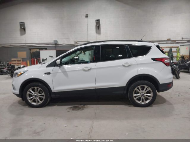 Ford Escape Sel Image 12